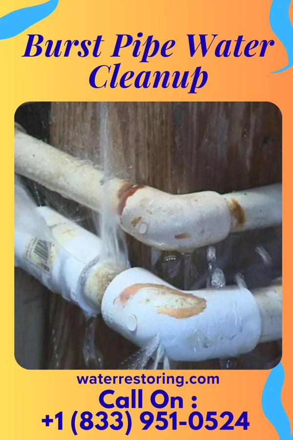 Burst Pipe Water Cleanup in Mildred, TX