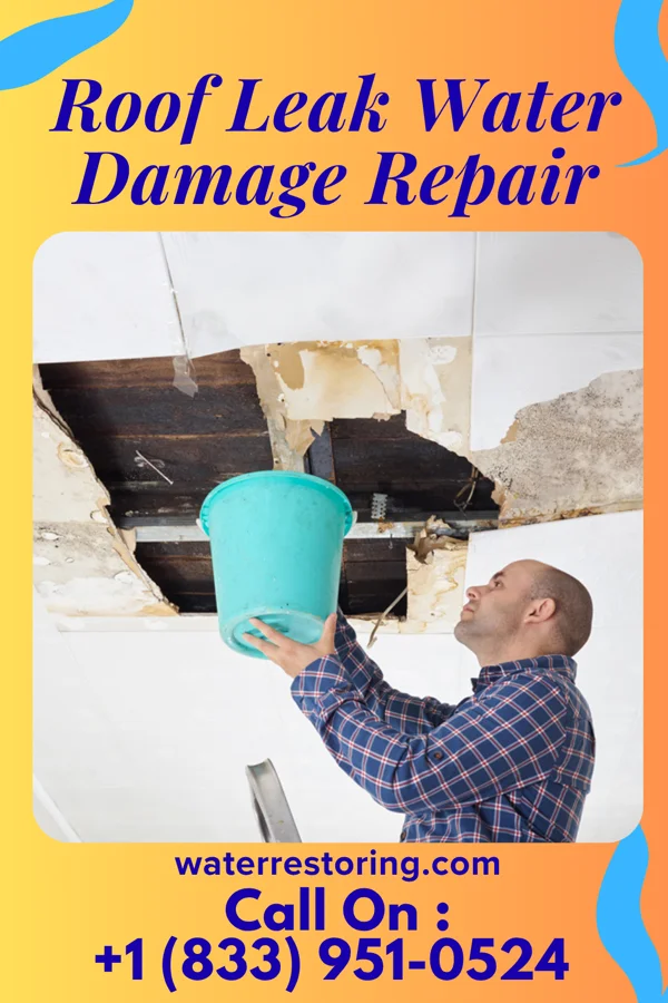 Roof Leak Water Damage Repair in Mildred, TX
